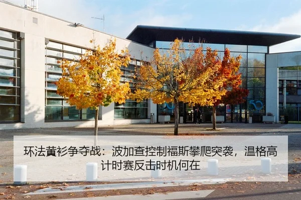 环法黄衫争夺战：波加查控制福斯攀爬突袭，温格高计时赛反击时机何在